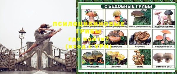 ALPHA-PVP Дедовск