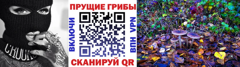 Псилоцибиновые грибы мухоморы  Гаврилов-Ям 